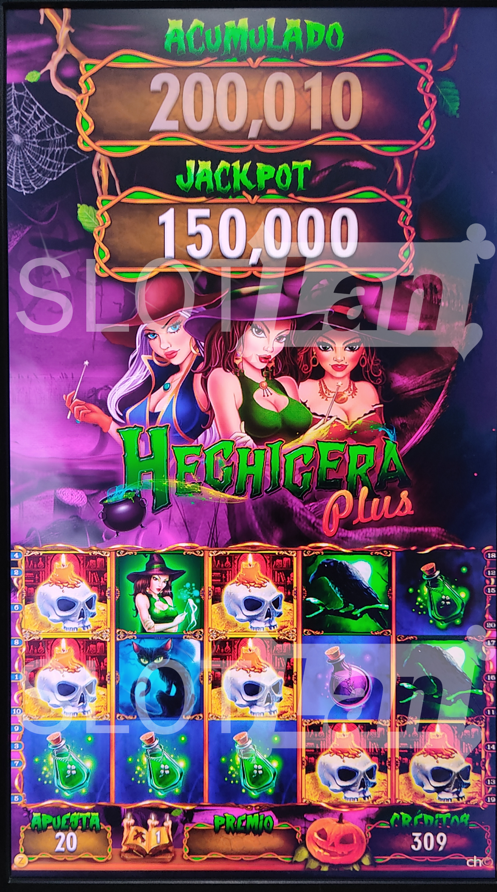 Hechizera Plus Vertical